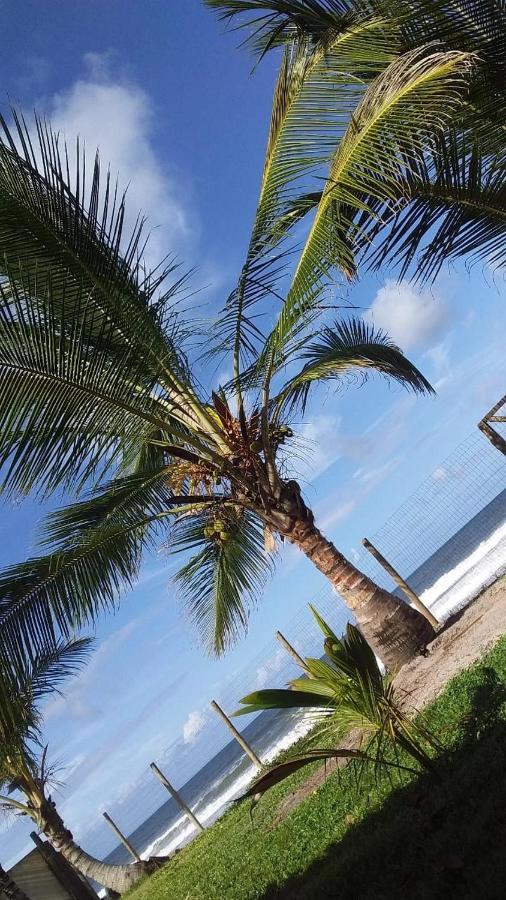 ホテル Casa Aconchego Goiano イリェウス エクステリア 写真